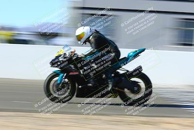 media/Jan-09-2022-SoCal Trackdays (Sun) [[2b1fec8404]]/Front Straight Speed Shots (1pm)/